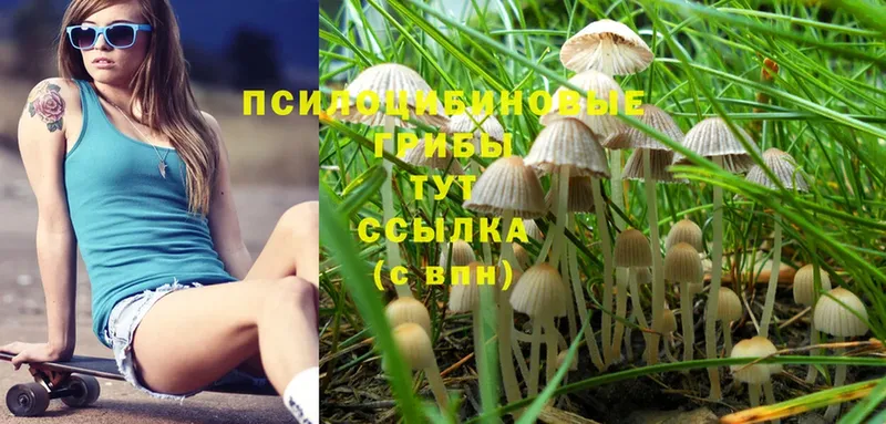 Галлюциногенные грибы Magic Shrooms  Заозёрск 